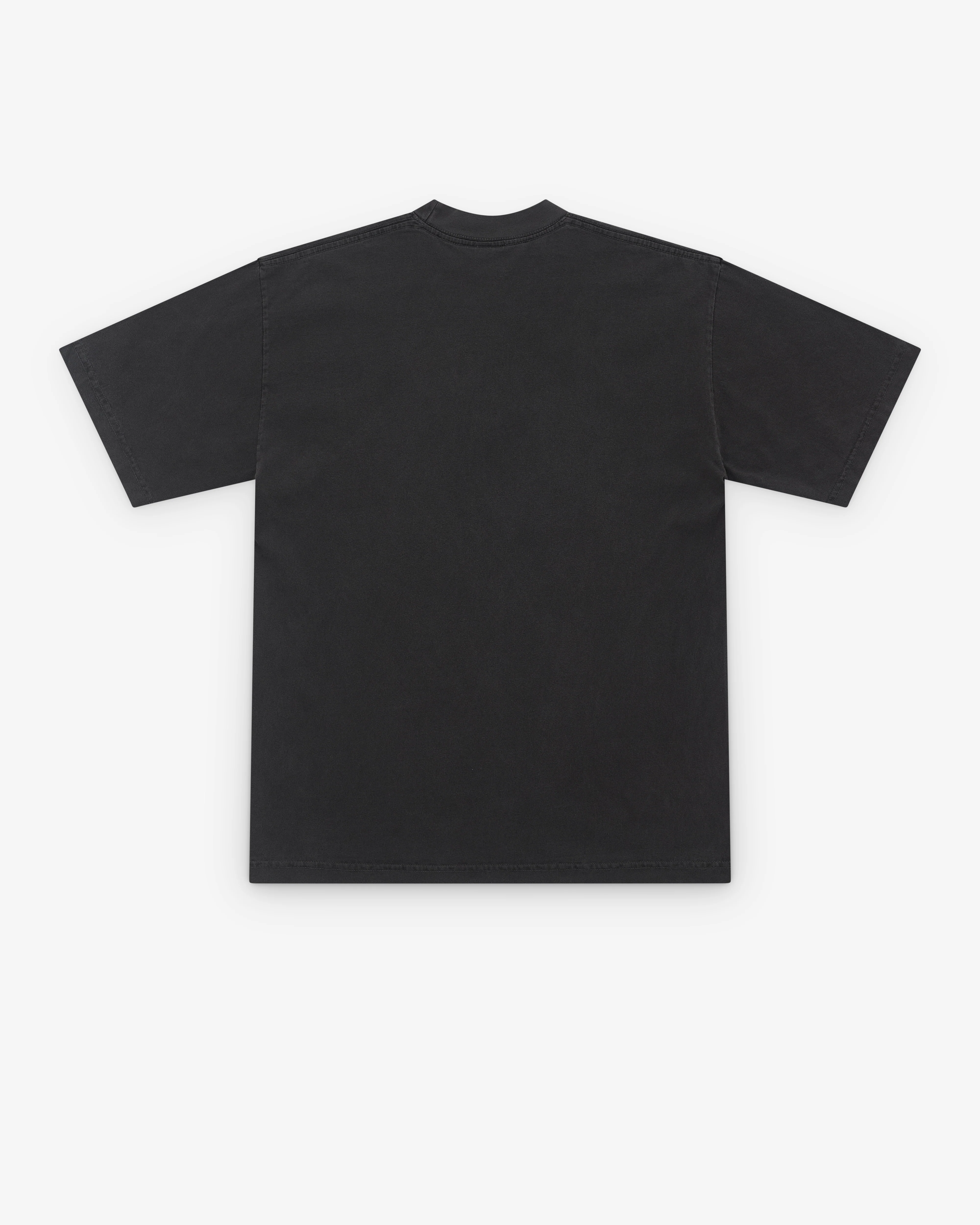 Cactus Store - Men’s When Gibbons Sing T-Shirt - (Black) - Image 2