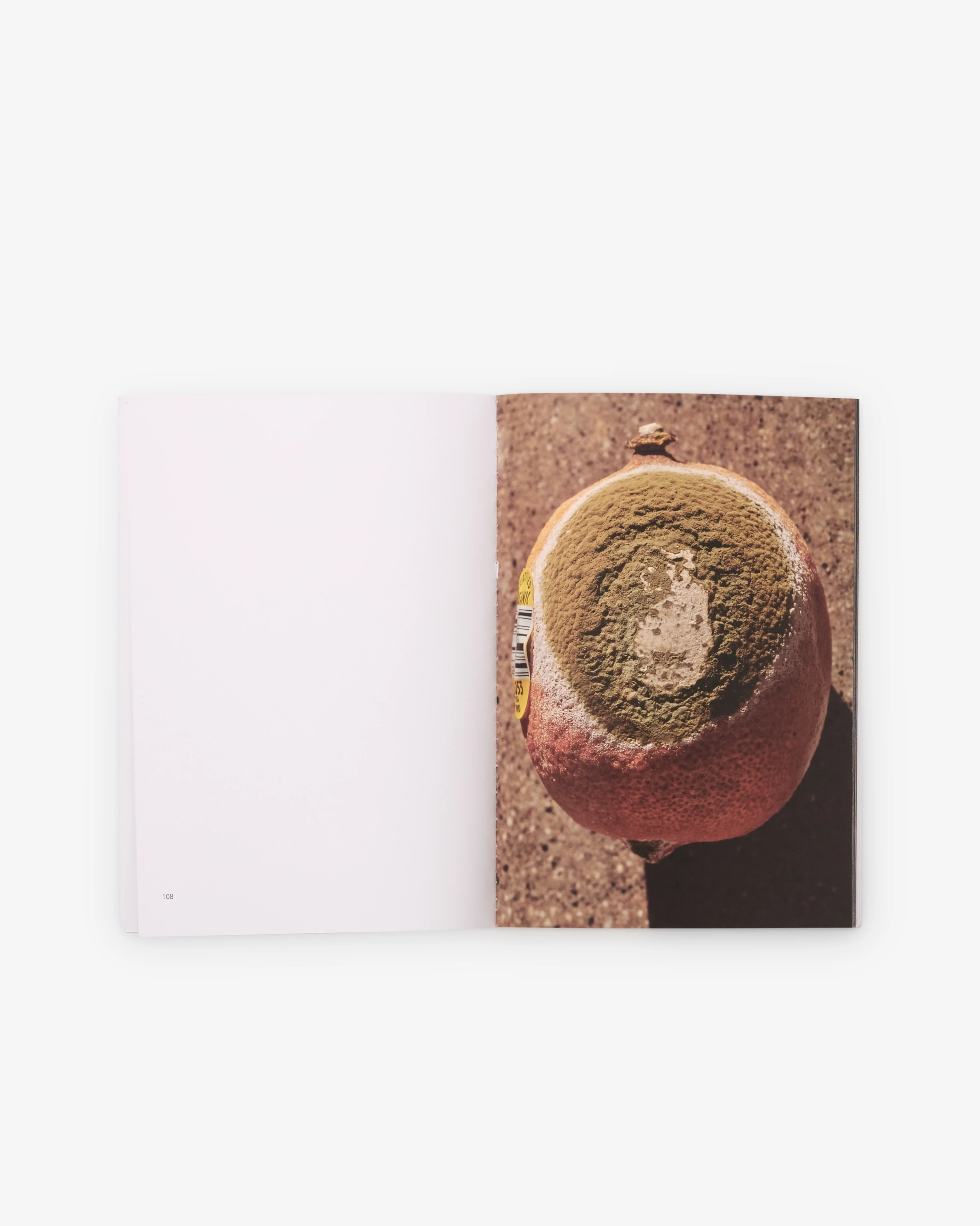 Friend Editions - Pray To Be A Bird by Colin Sussingham - Image 2