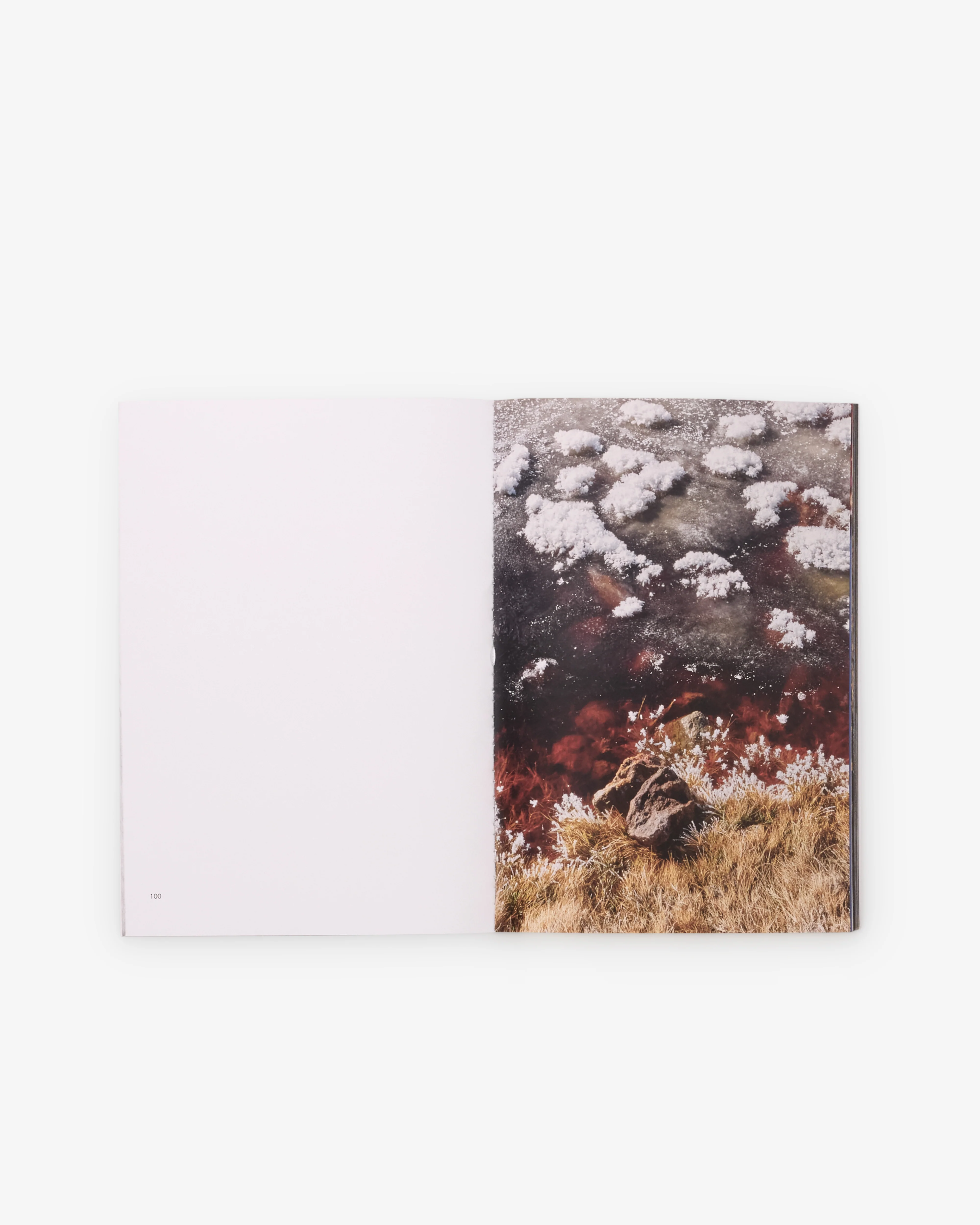 Friend Editions - Pray To Be A Bird by Colin Sussingham - Image 3