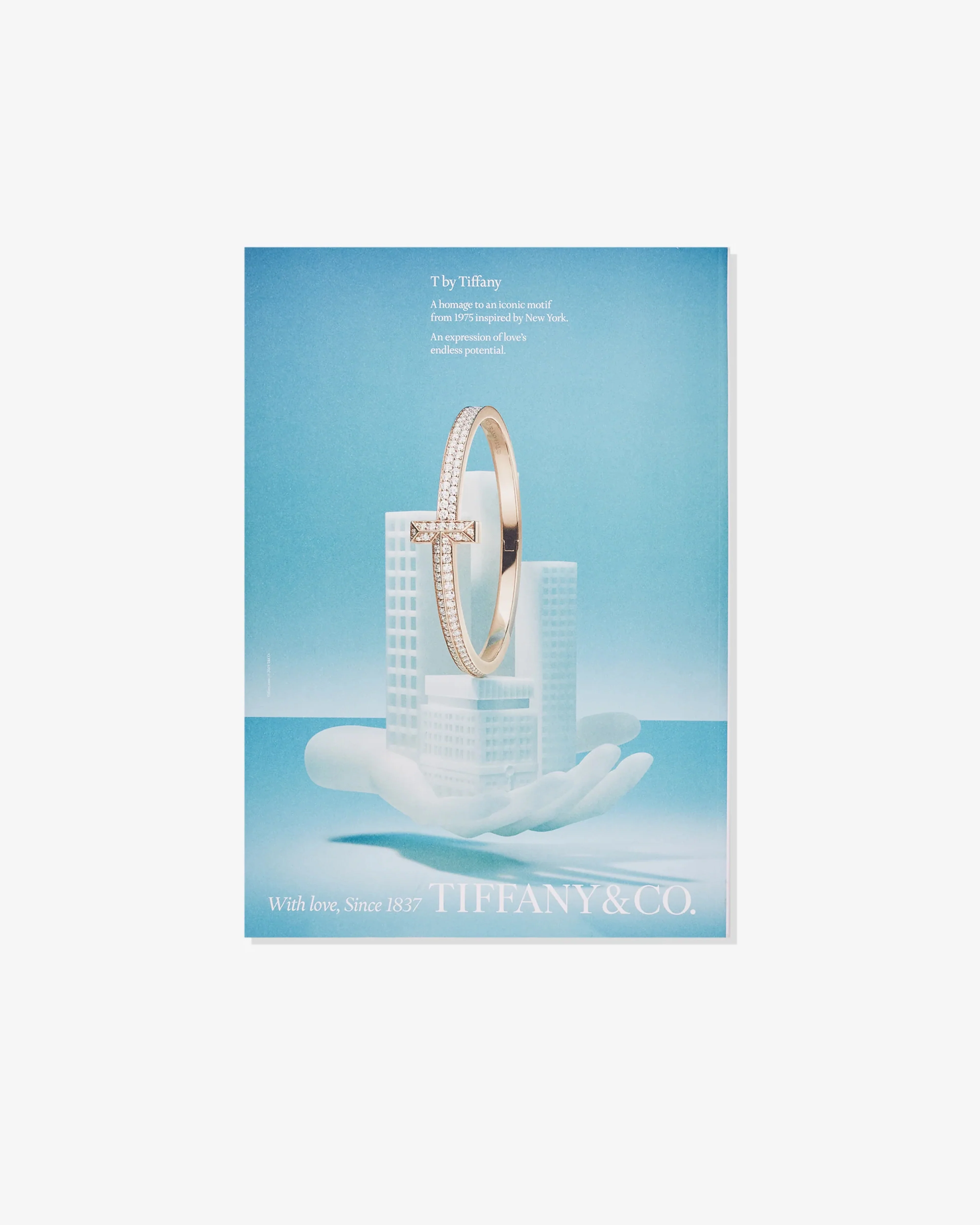 Luncheon - No. 17 Magazine - Image 7